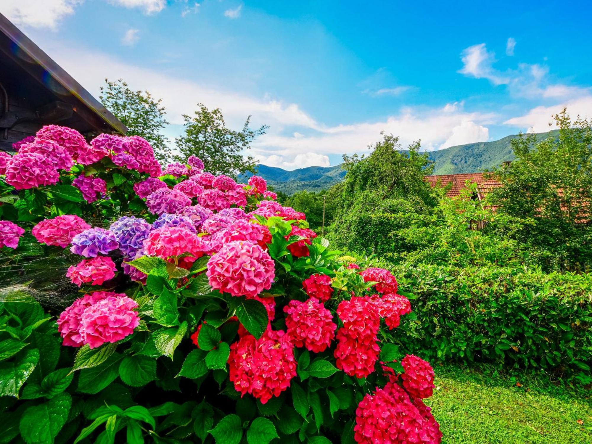 Holiday Home Bozica By Interhome Brod na Kupi Exterior foto
